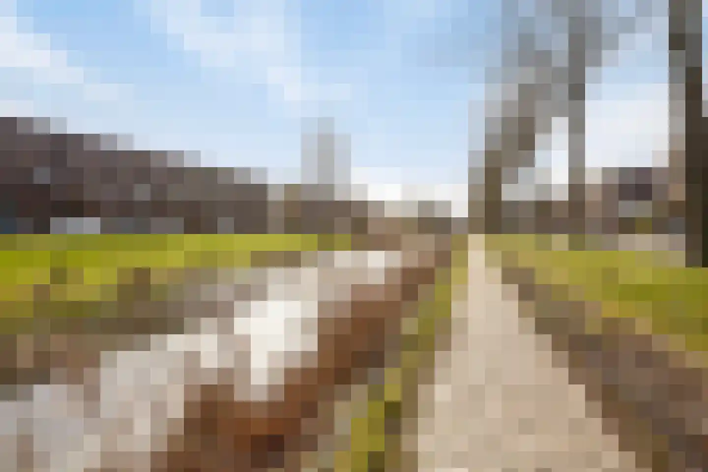Grote Vos 18 Breda thumbnail 49