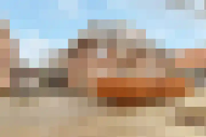 Grote Vos 3 Nijkerk