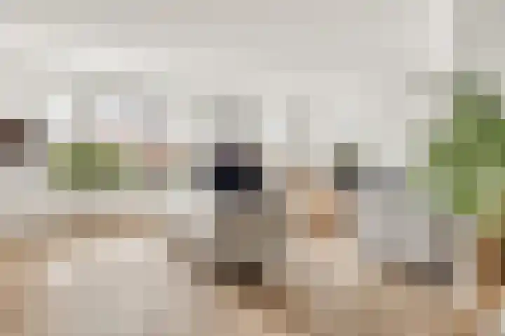 Grote Vos 3 Nijkerk thumbnail 11