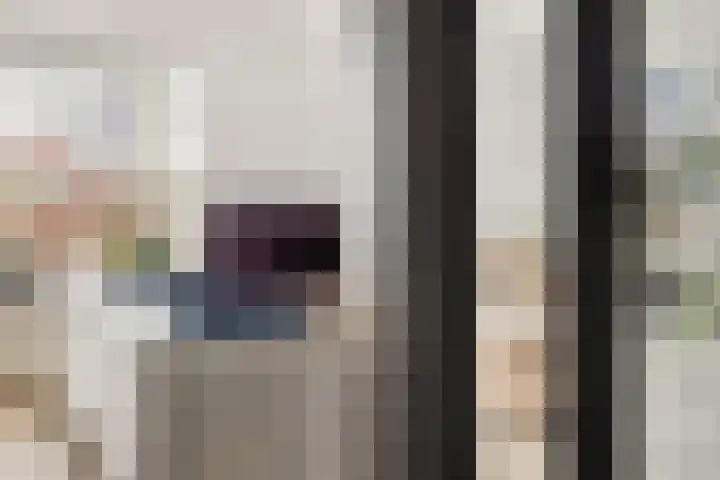 Grote Vos 3 Nijkerk thumbnail 13