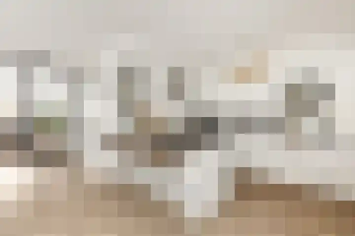 Grote Vos 3 Nijkerk thumbnail 16