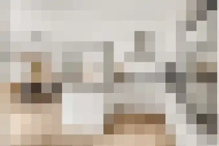 Grote Vos 3 Nijkerk thumbnail 17