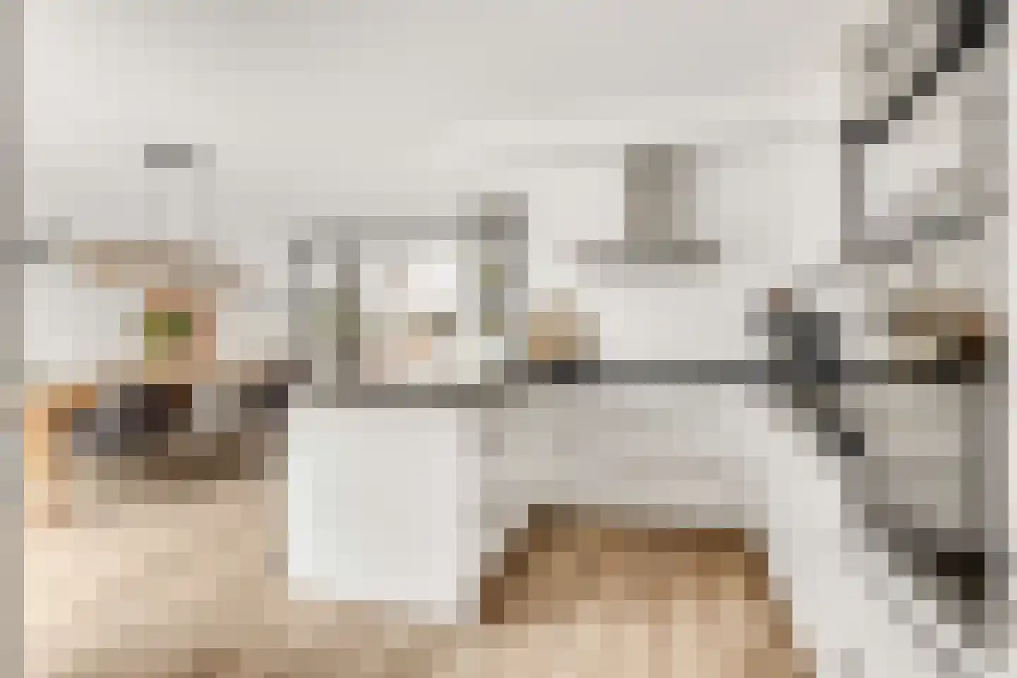 Grote Vos 3 Nijkerk thumbnail 17