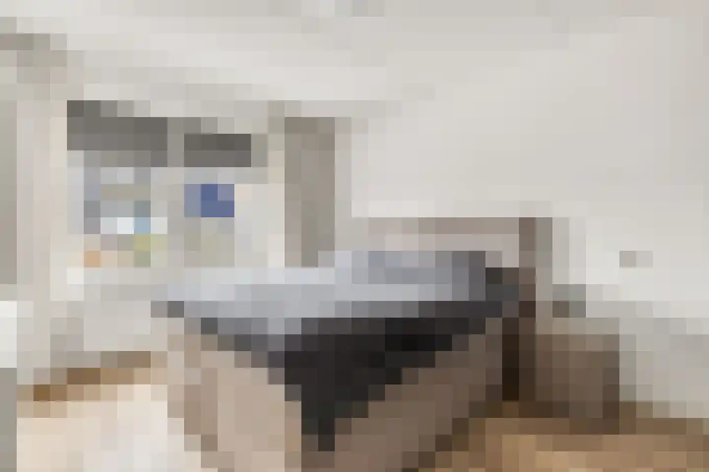 Grote Vos 3 Nijkerk thumbnail 20