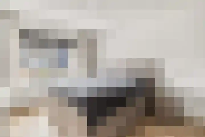 Grote Vos 3 Nijkerk thumbnail 20