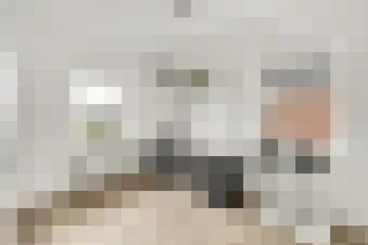 Grote Vos 3 Nijkerk thumbnail 21