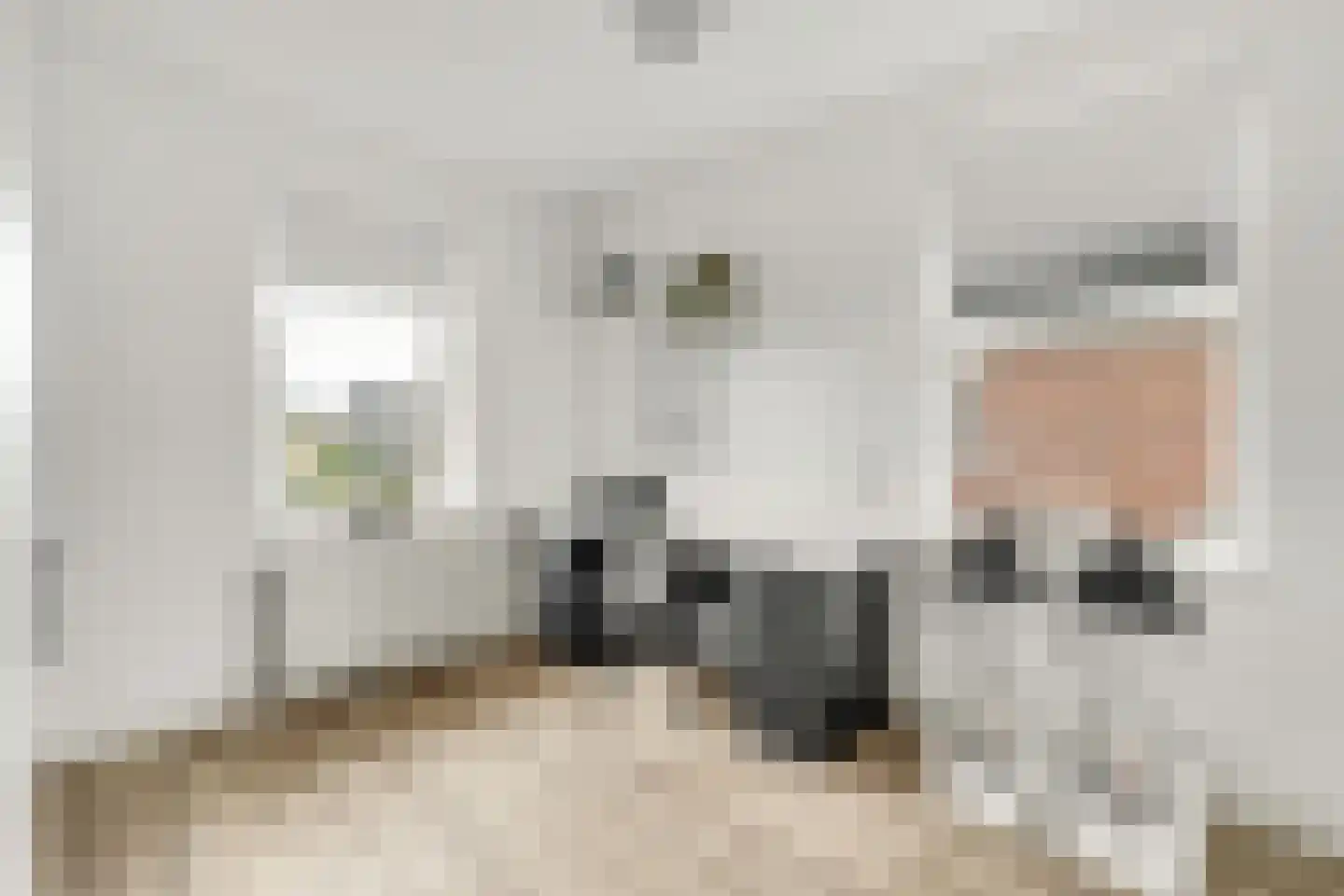 Grote Vos 3 Nijkerk thumbnail 21