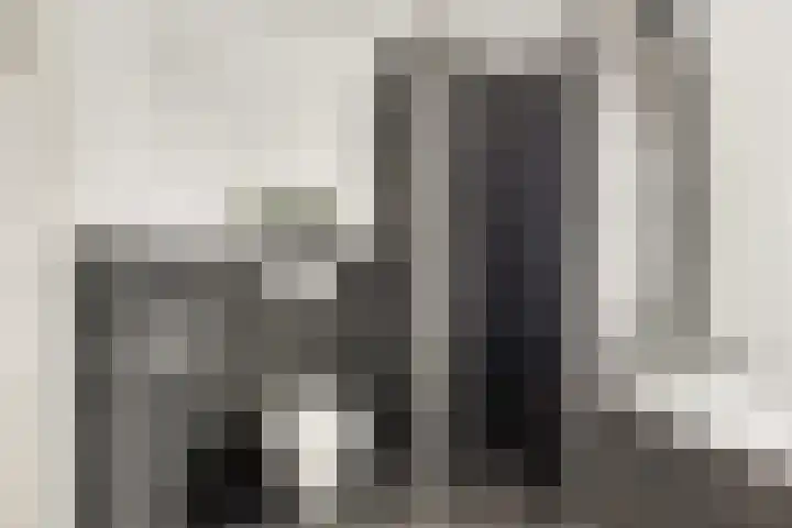 Grote Vos 3 Nijkerk thumbnail 25