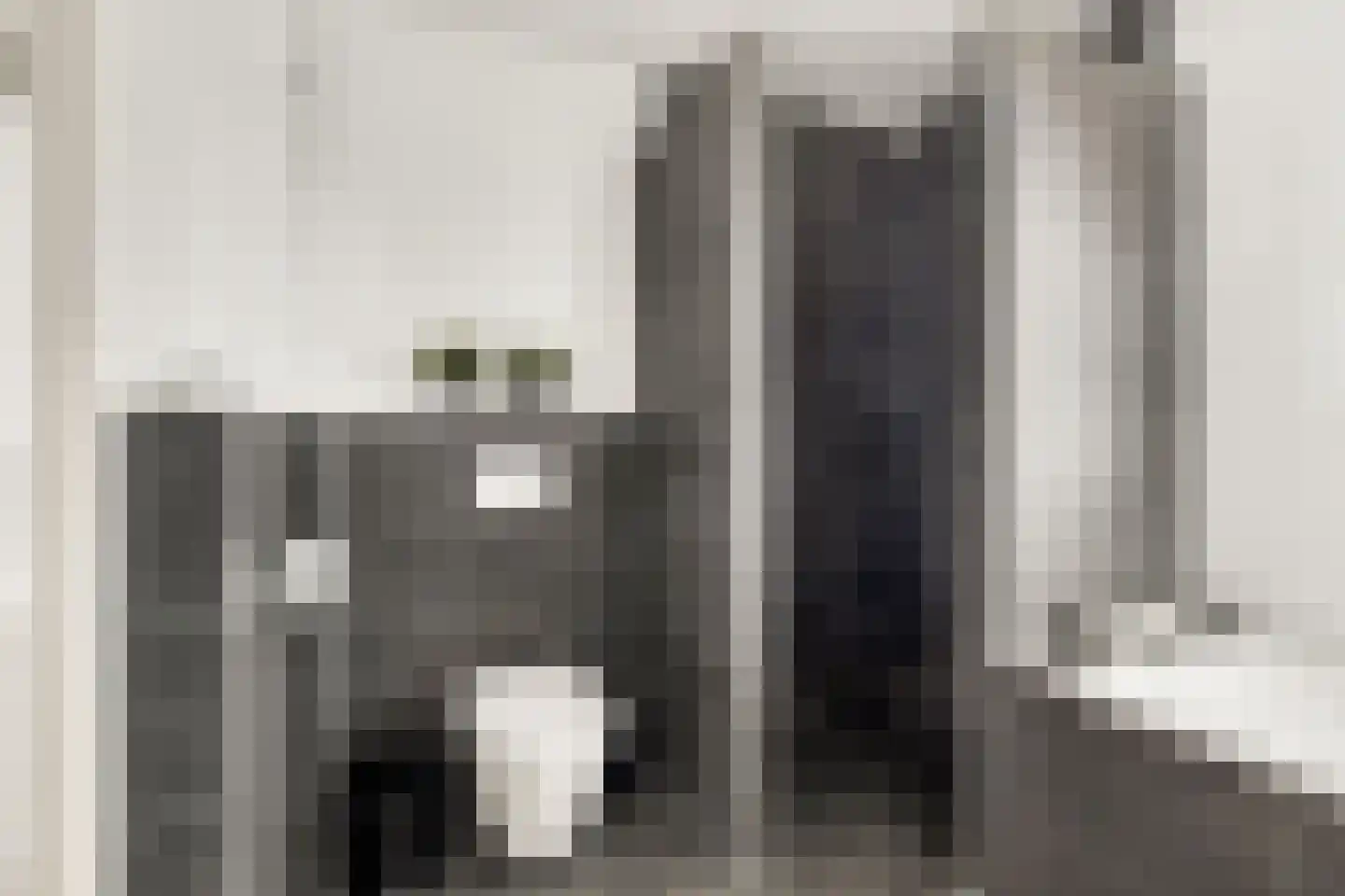 Grote Vos 3 Nijkerk thumbnail 25