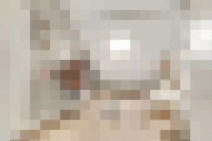 Grote Vos 3 Nijkerk thumbnail 28