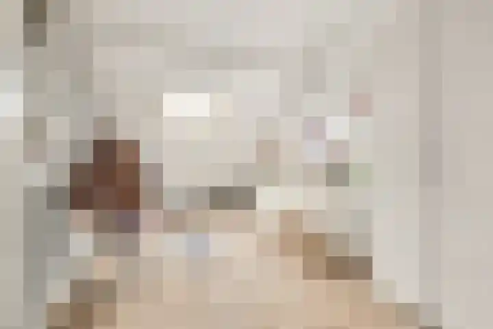 Grote Vos 3 Nijkerk thumbnail 29
