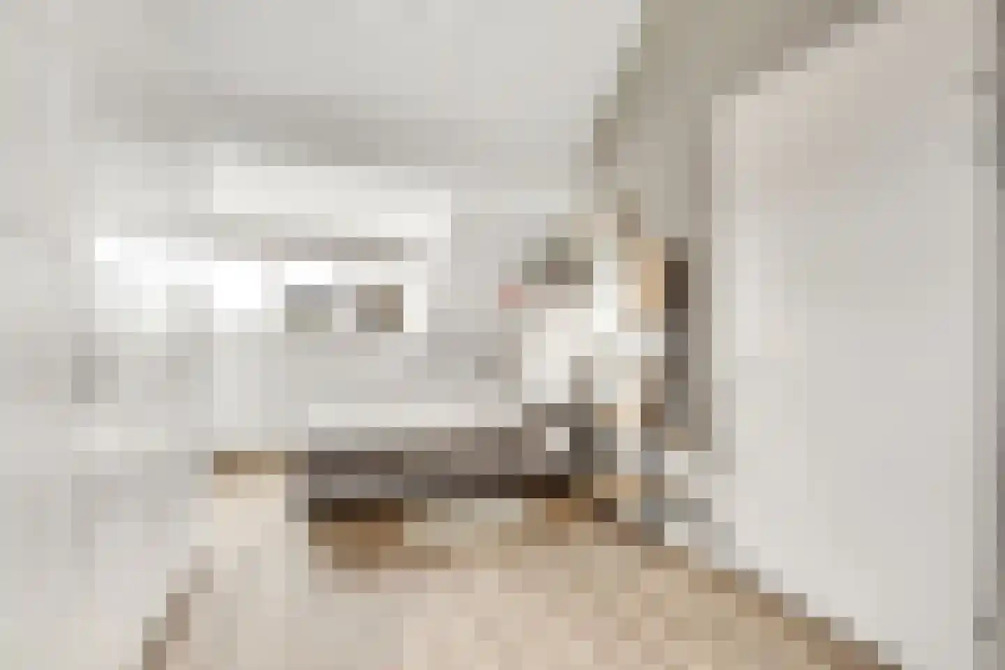 Grote Vos 3 Nijkerk thumbnail 30