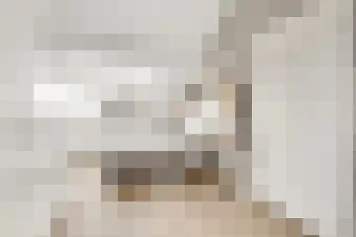 Grote Vos 3 Nijkerk thumbnail 30