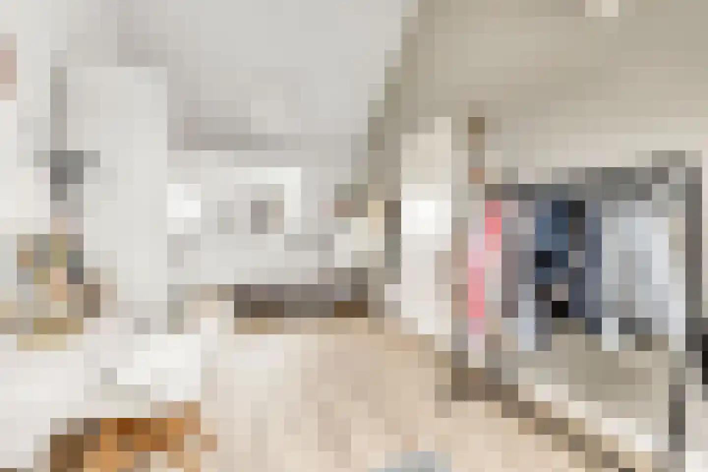 Grote Vos 3 Nijkerk thumbnail 31