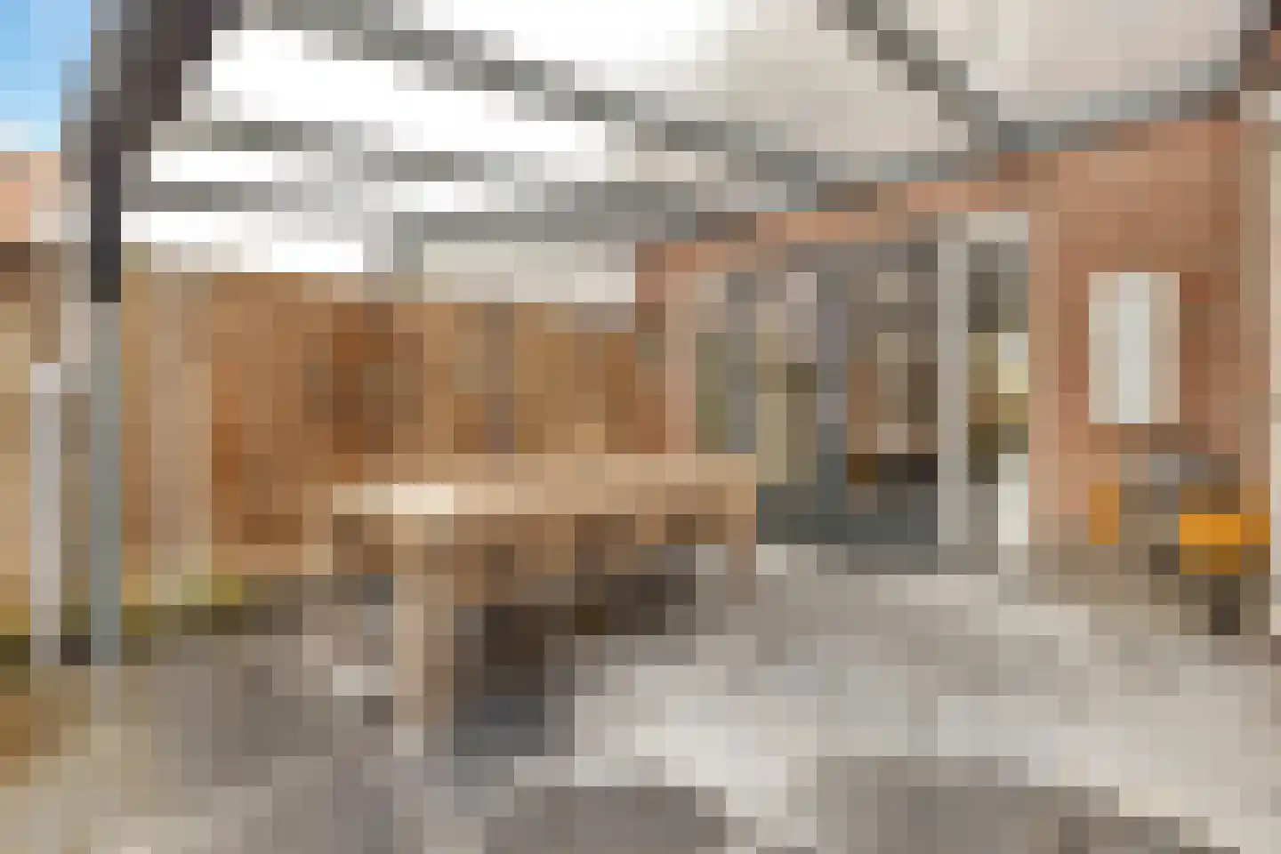 Grote Vos 3 Nijkerk thumbnail 35