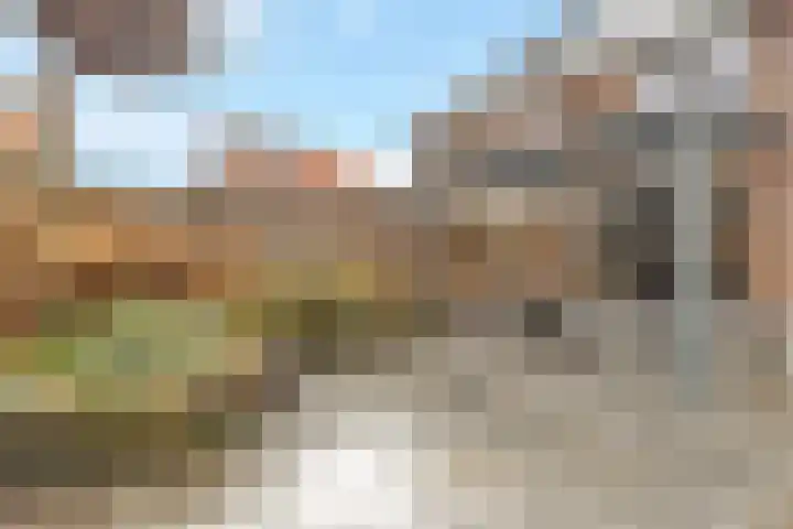 Grote Vos 3 Nijkerk thumbnail 36