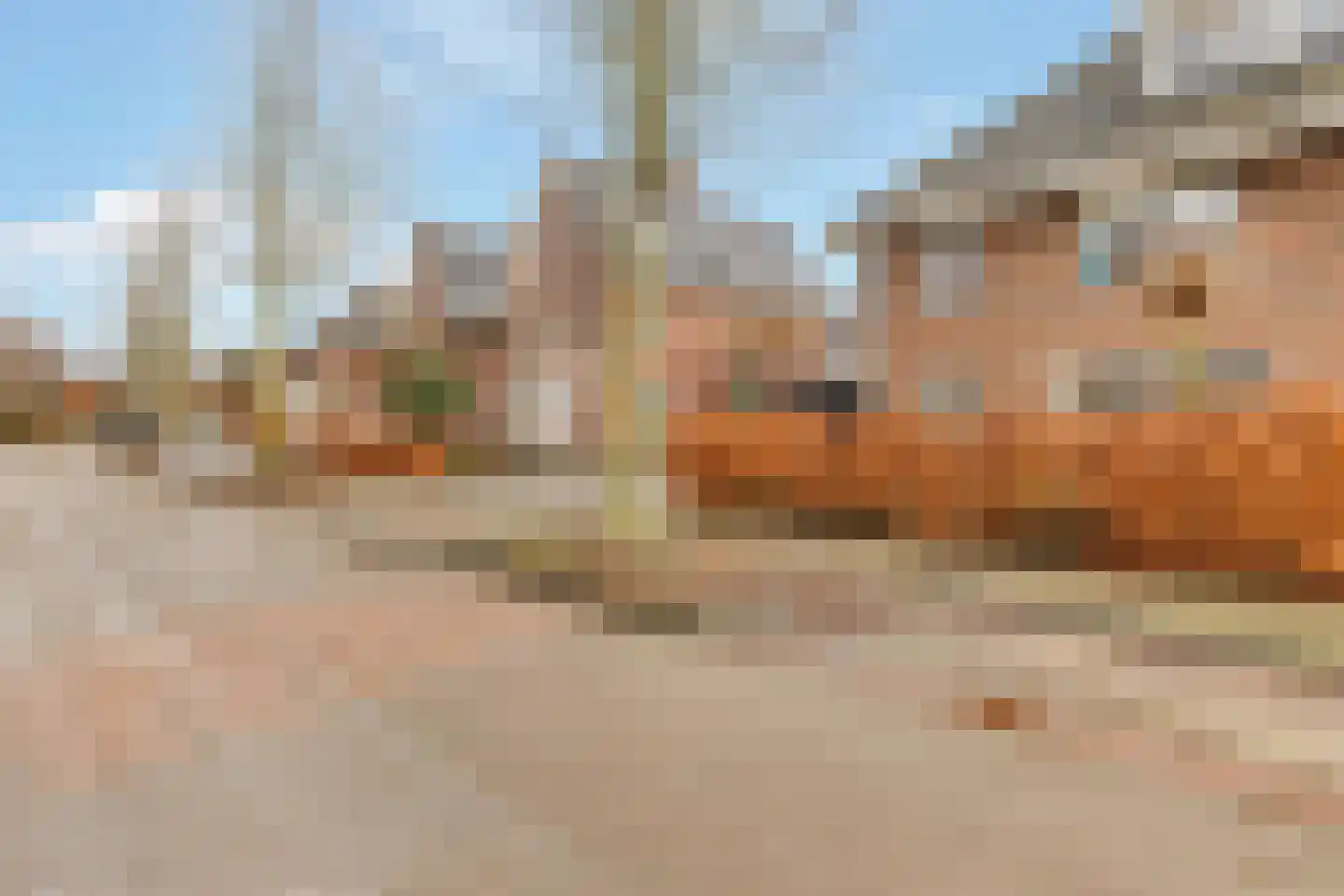 Grote Vos 3 Nijkerk thumbnail 39