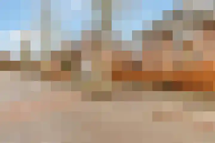 Grote Vos 3 Nijkerk thumbnail 39