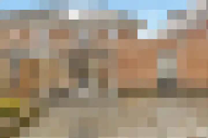 Grote Vos 3 Nijkerk thumbnail 4