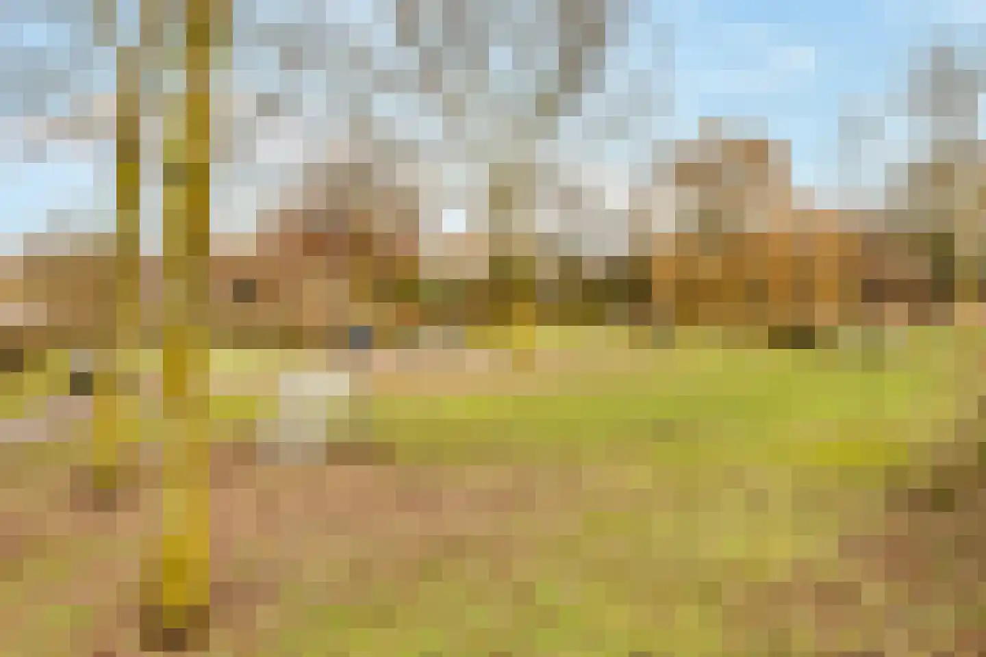 Grote Vos 3 Nijkerk thumbnail 40