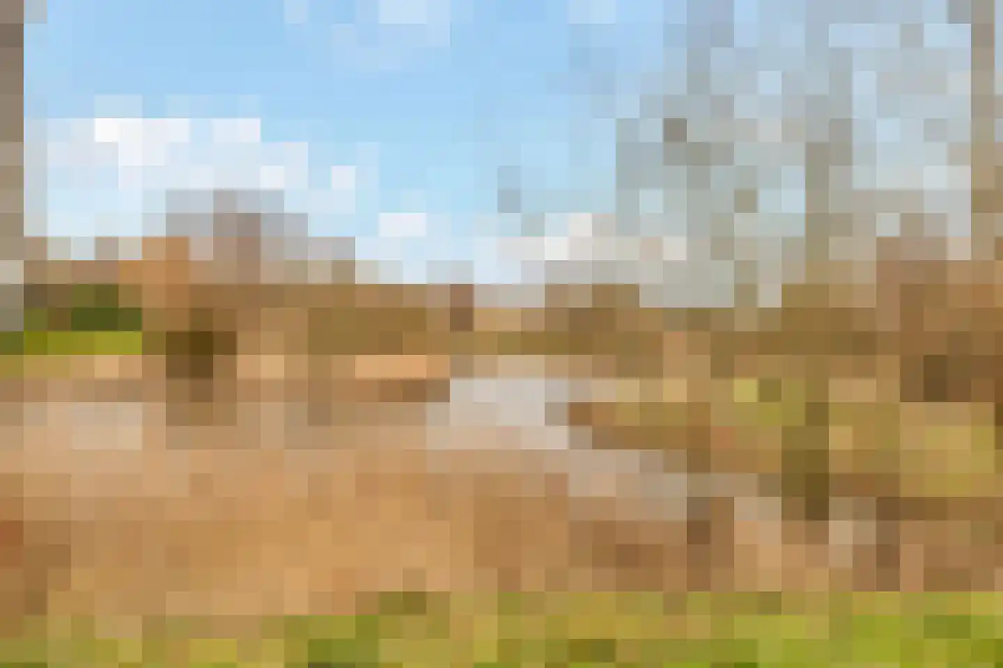 Grote Vos 3 Nijkerk thumbnail 41
