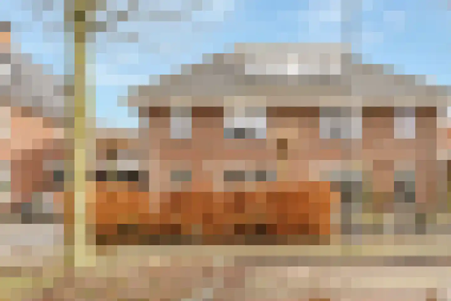 Grote Vos 3 Nijkerk thumbnail 5