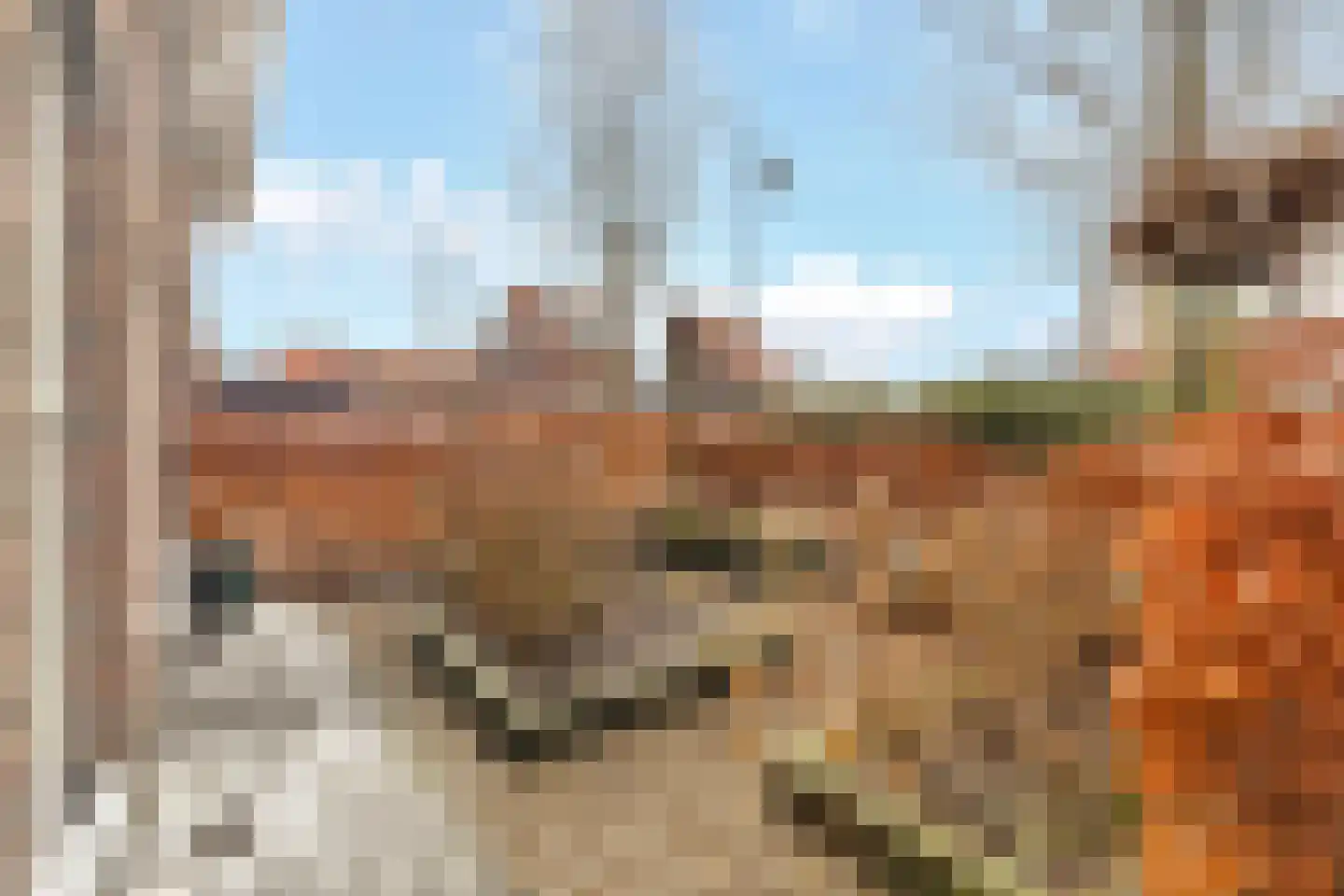 Grote Vos 3 Nijkerk thumbnail 6