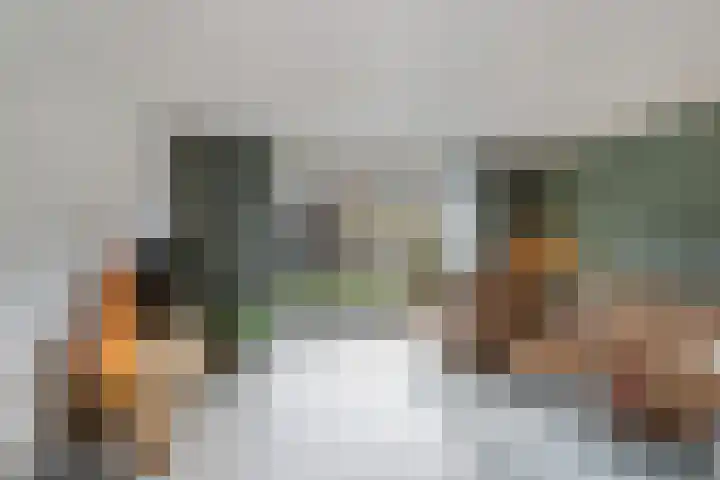 Grote vos 45 's-Gravenzande thumbnail 10