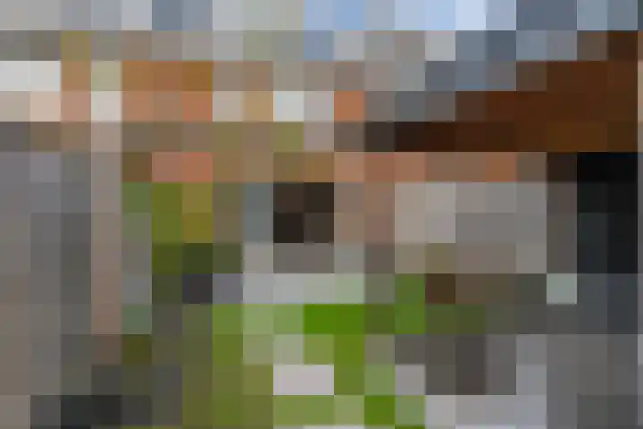 Grote vos 45 's-Gravenzande thumbnail 14