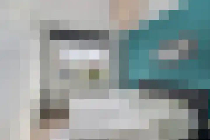 Grote vos 45 's-Gravenzande thumbnail 19
