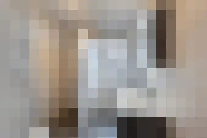 Grote vos 45 's-Gravenzande thumbnail 22