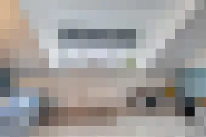 Grote vos 45 's-Gravenzande thumbnail 30