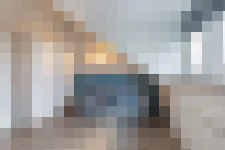 Grote vos 45 's-Gravenzande thumbnail 31
