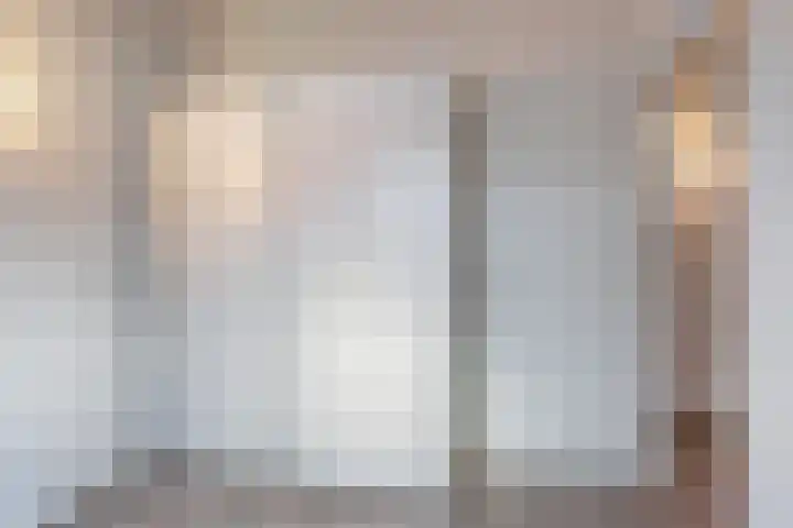 Grote vos 45 's-Gravenzande thumbnail 34