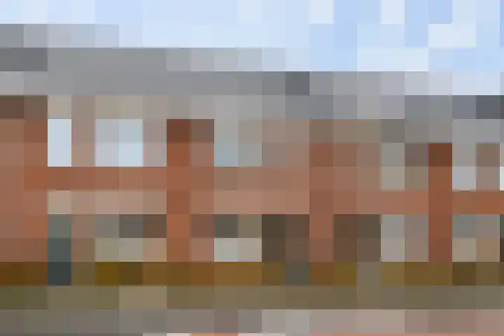 Grote vos 45 's-Gravenzande thumbnail 35