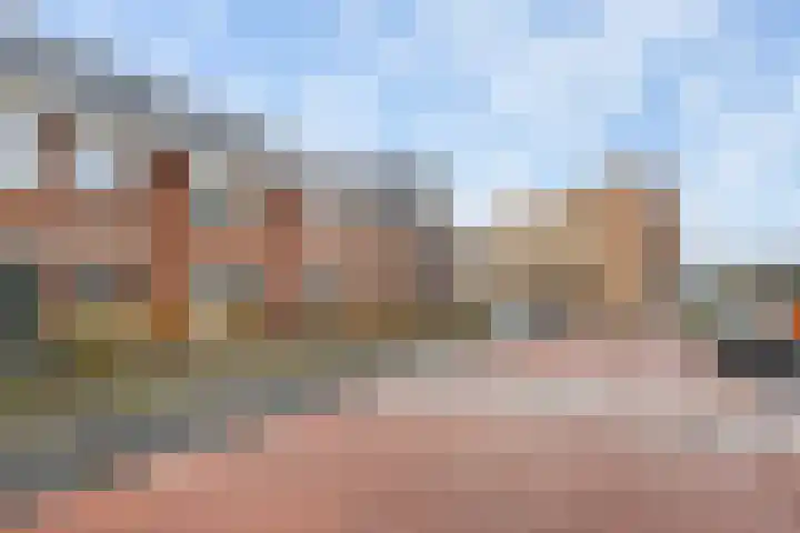 Grote vos 45 's-Gravenzande thumbnail 36