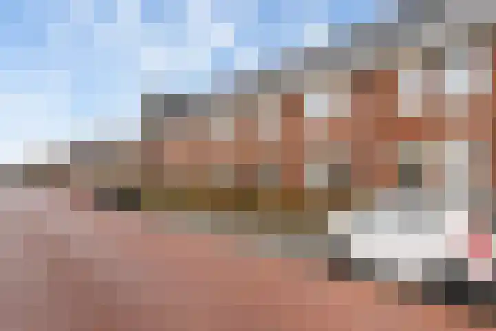 Grote vos 45 's-Gravenzande thumbnail 37