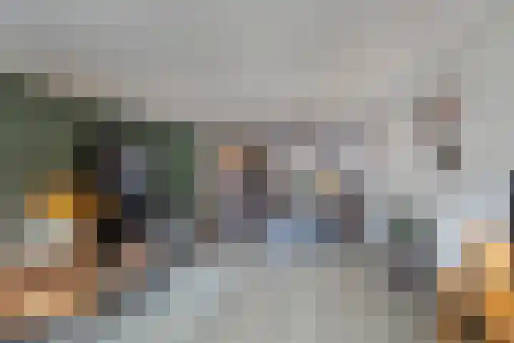 Grote vos 45 's-Gravenzande thumbnail 4