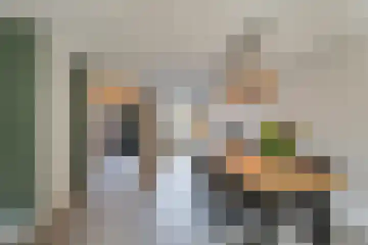 Grote vos 45 's-Gravenzande thumbnail 5
