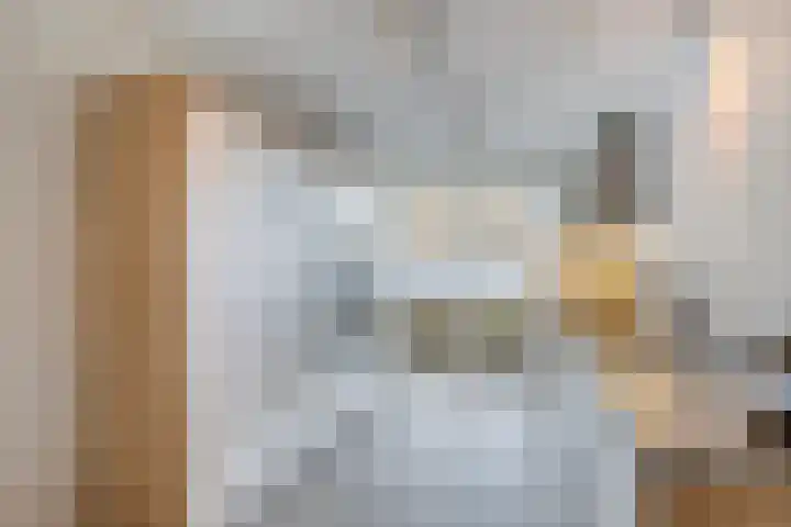 Grote vos 45 's-Gravenzande thumbnail 8