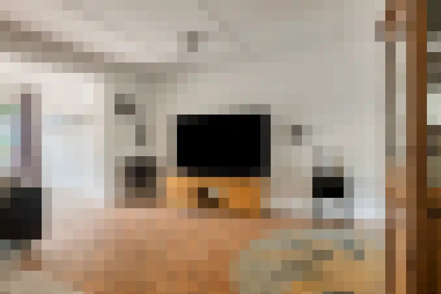 Grote Vos 7 Breda thumbnail 12