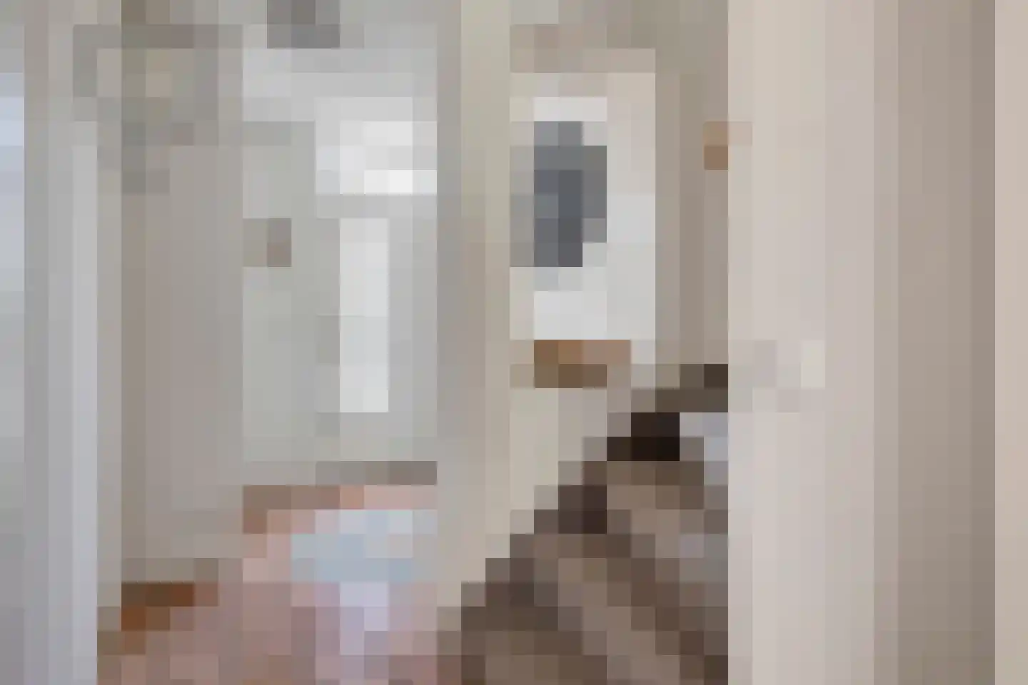 Grote Vos 7 Breda thumbnail 21