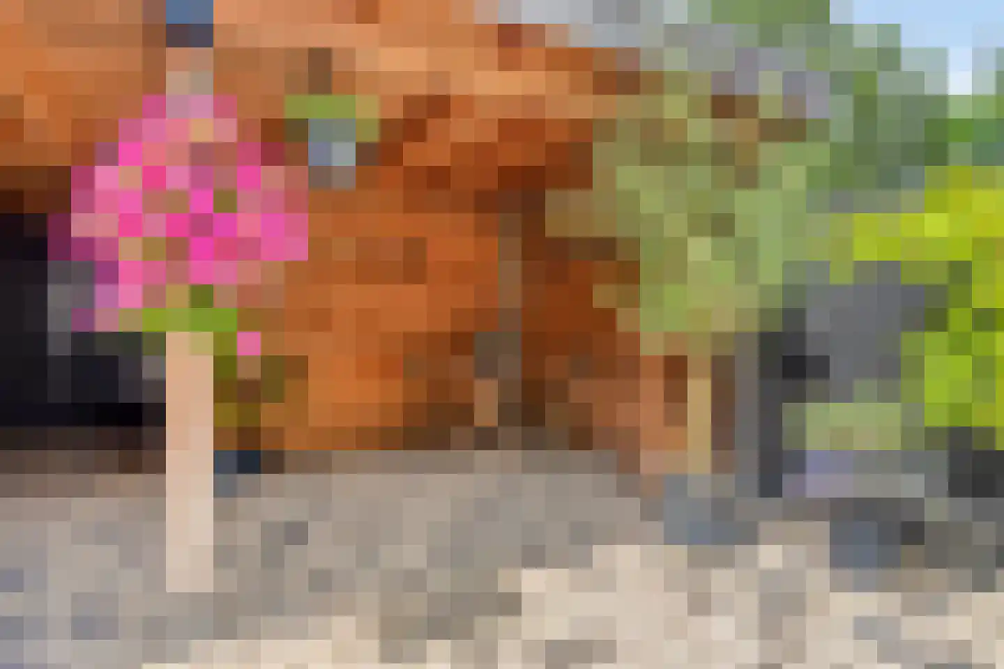 Grote Vos 7 Breda thumbnail 36