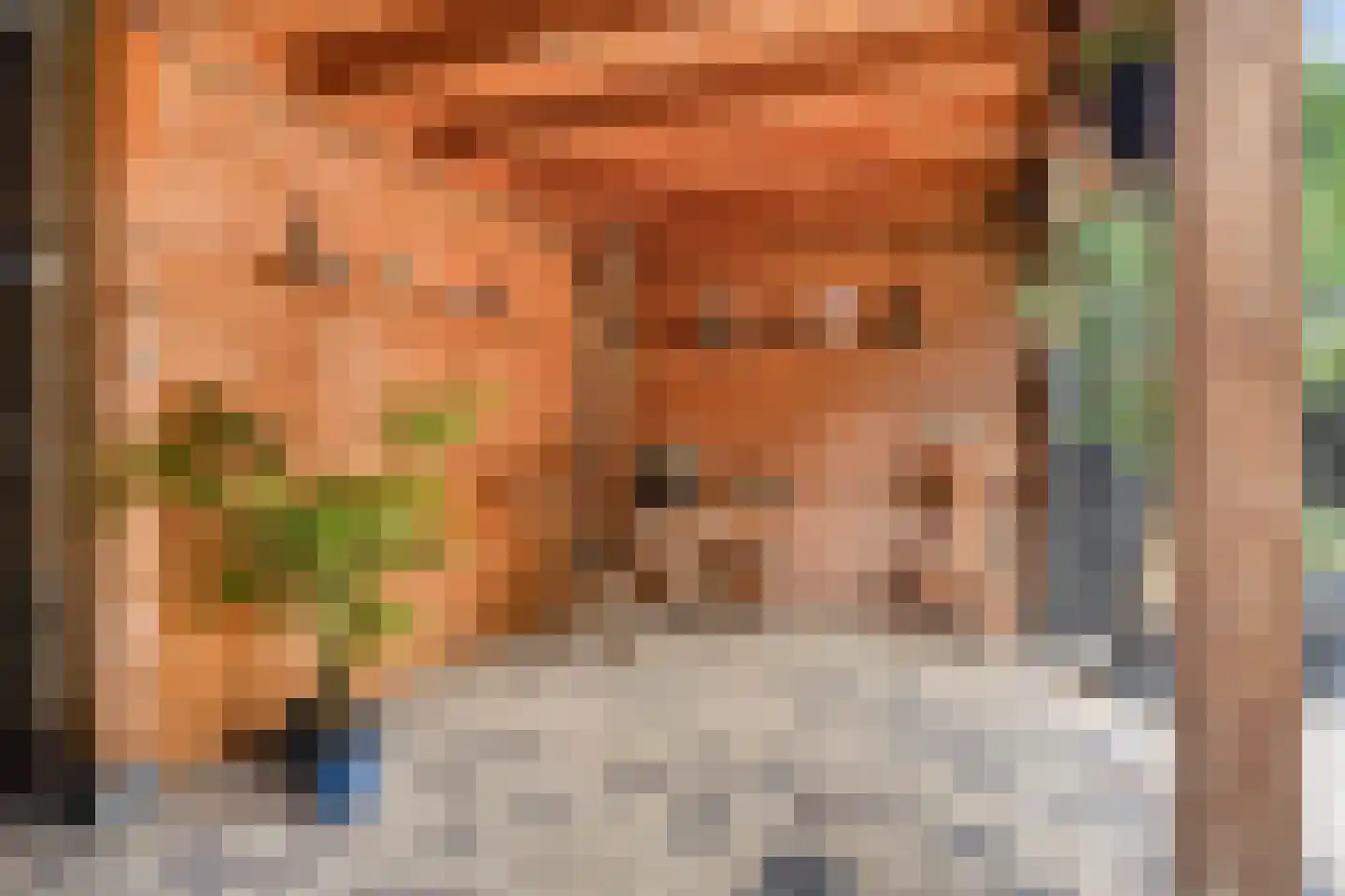 Grote Vos 7 Breda thumbnail 37