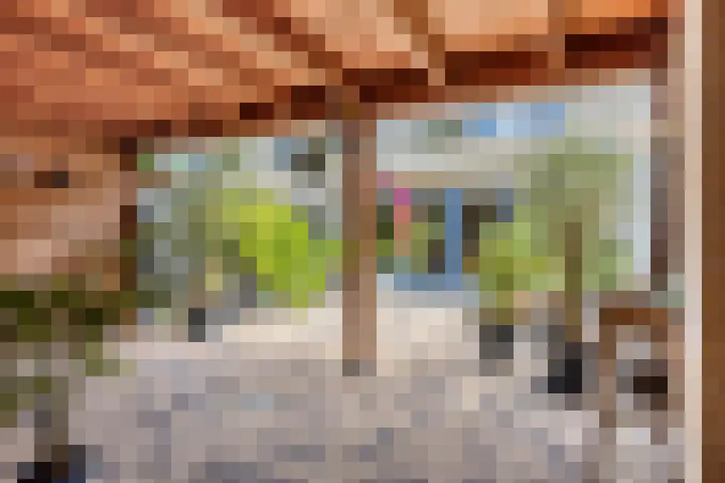 Grote Vos 7 Breda thumbnail 41
