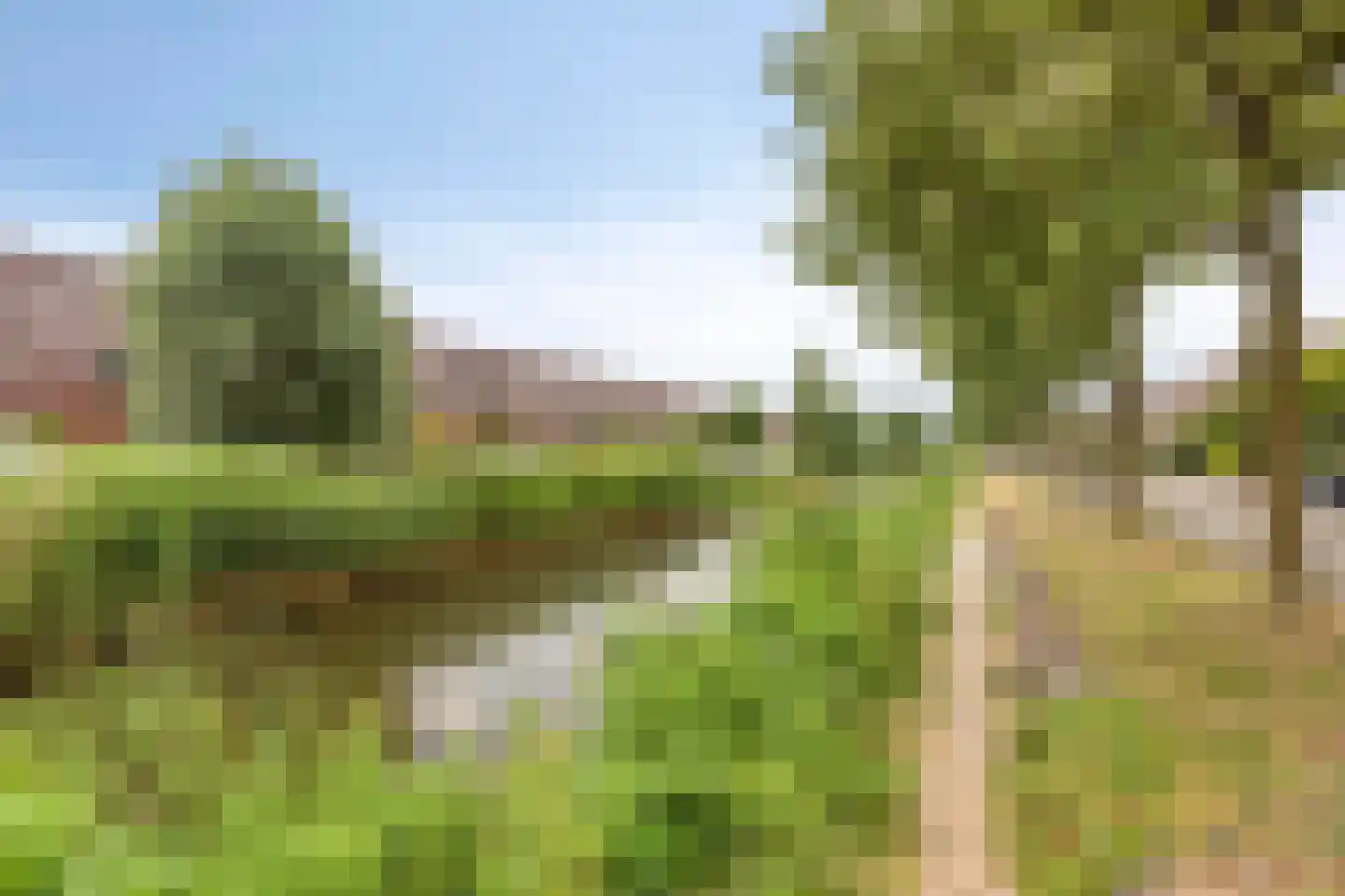 Grote Vos 7 Breda thumbnail 45