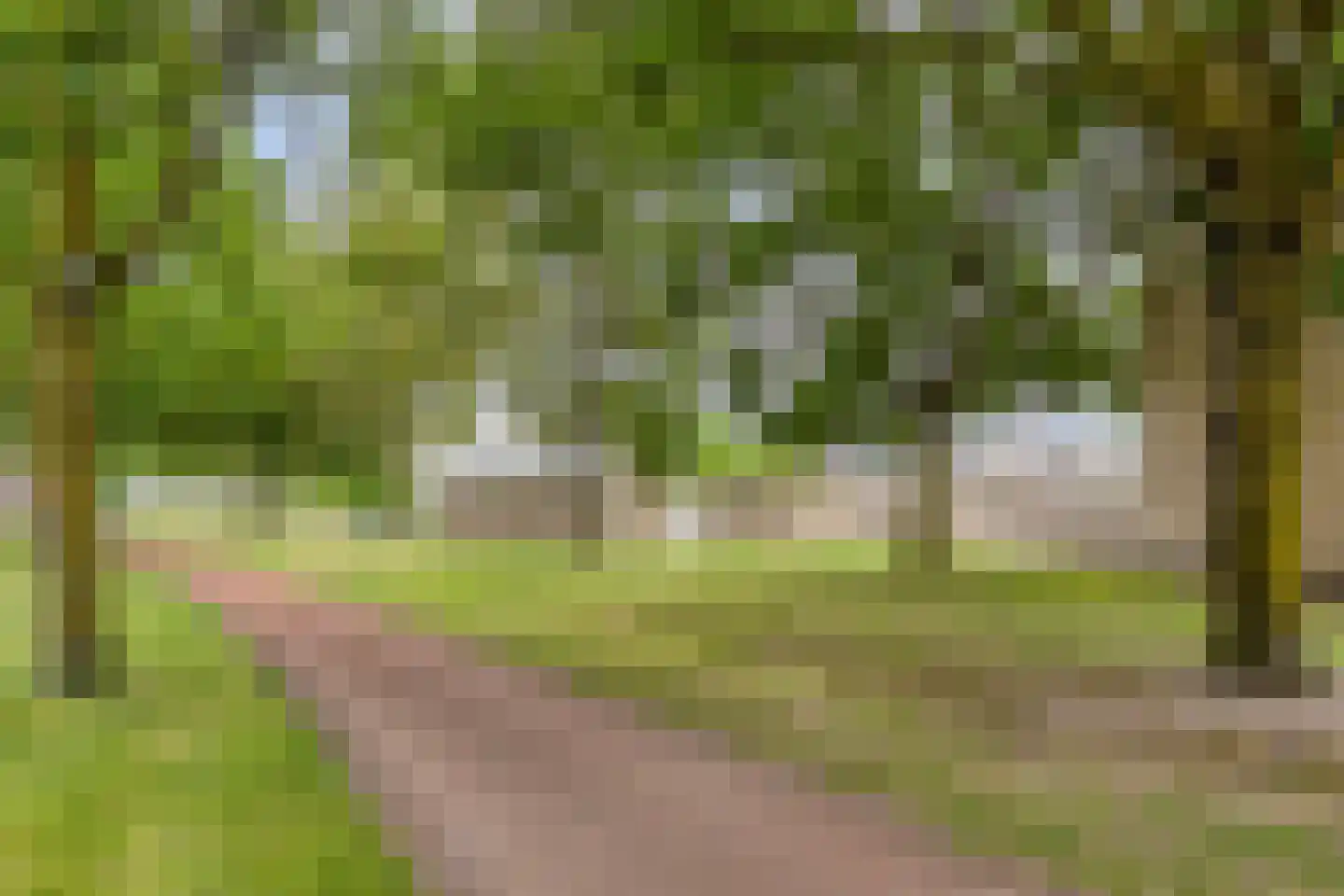 Grote Vos 7 Breda thumbnail 47