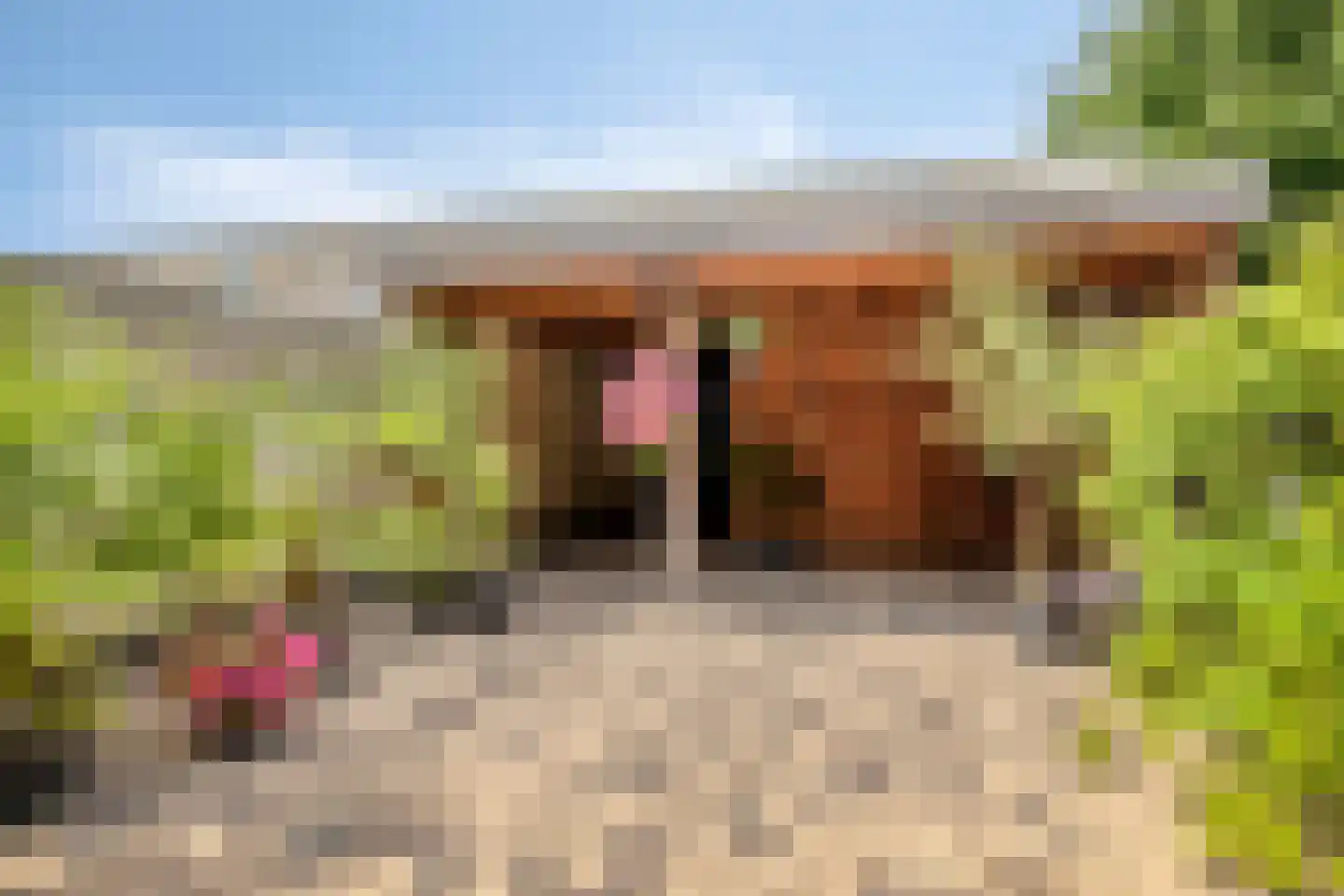 Grote Vos 7 Breda thumbnail 5