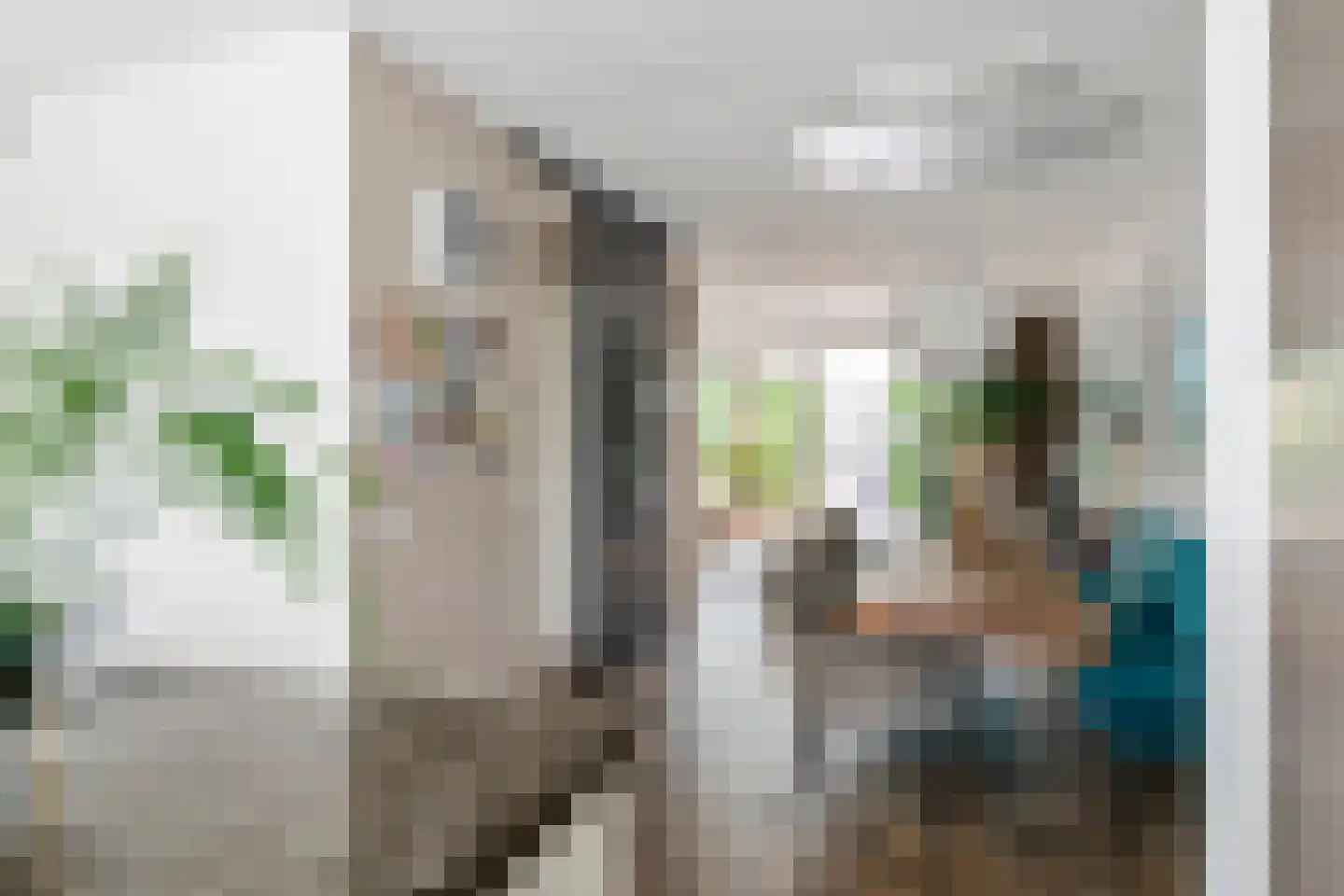 Grote Vuurvlinder 14 Tiel thumbnail 14