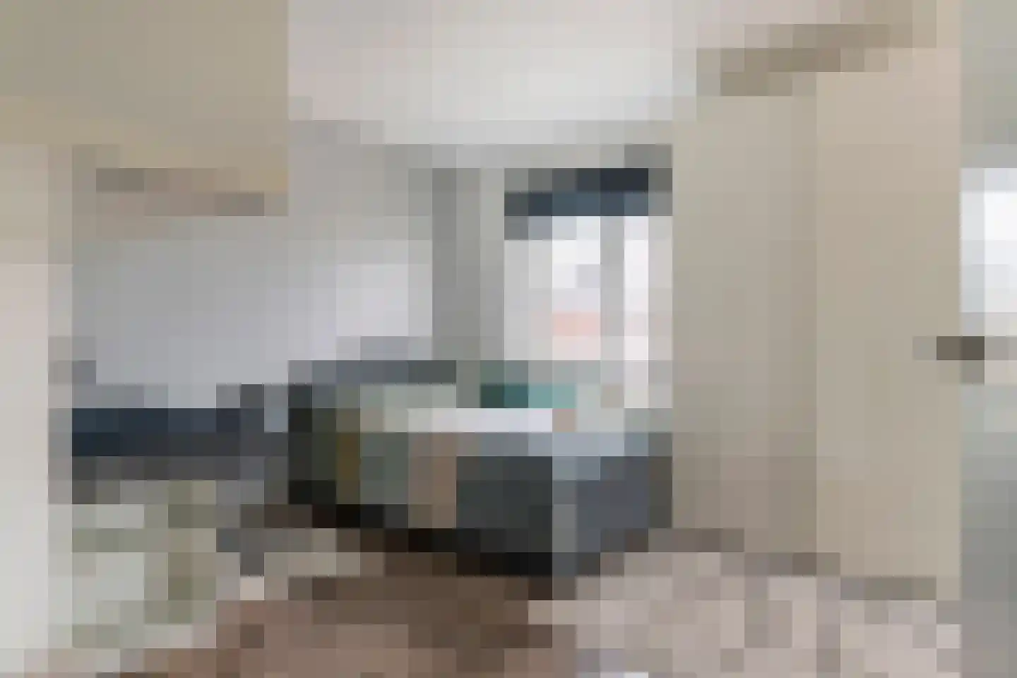 Grote Vuurvlinder 14 Tiel thumbnail 20